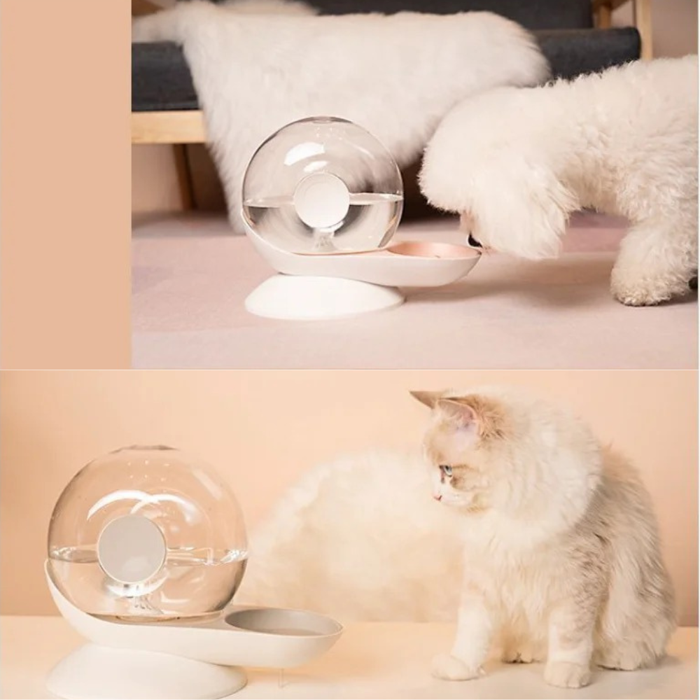 Caracol 2.8L Drinking Fountain for Cats