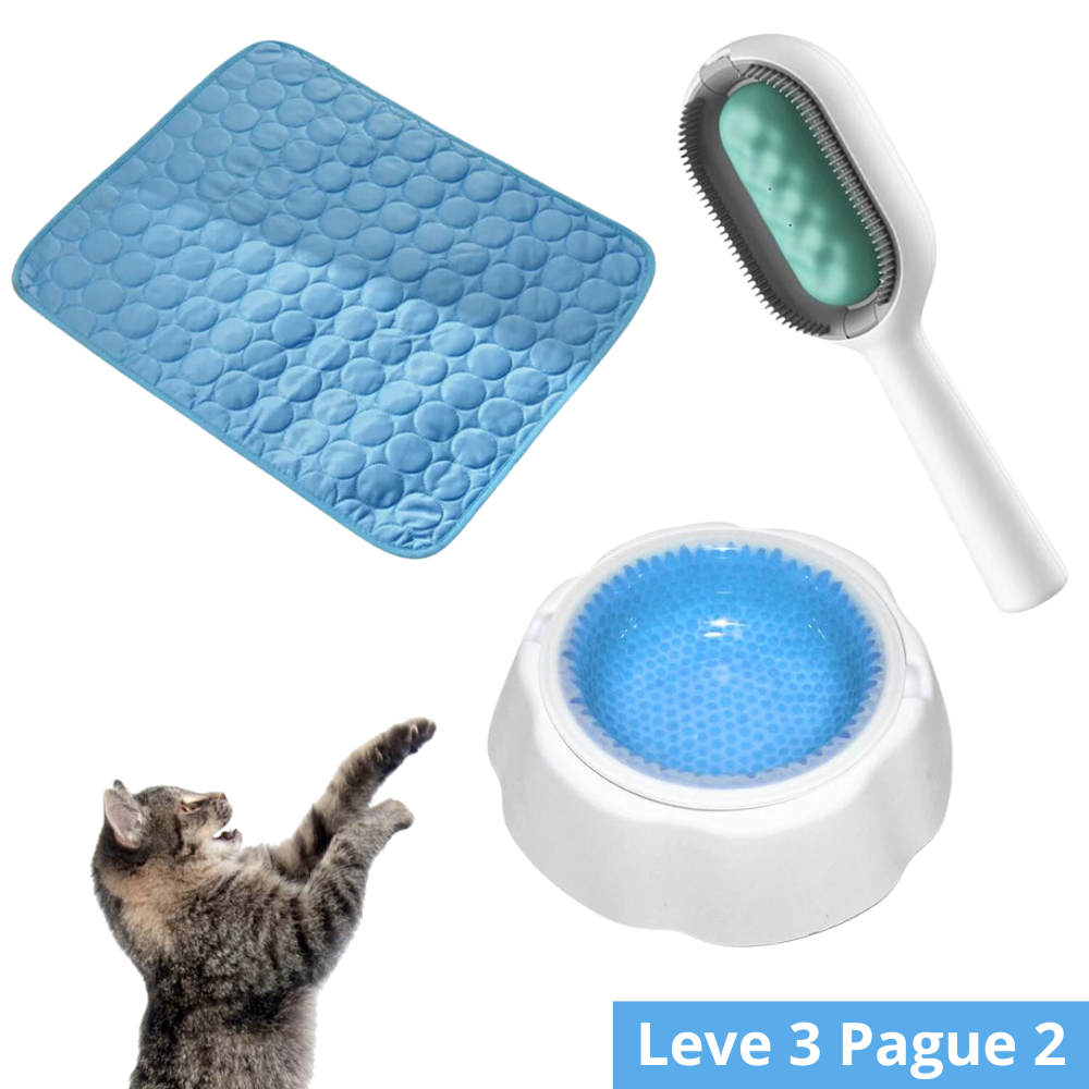 Refreshment Kit Medium Cold Mat + Cold Bowl + Multifunctional Brush for Pets