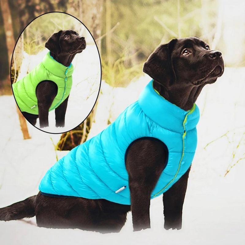 Reversible coat for dogs against the cold - Double layer and waterproof 