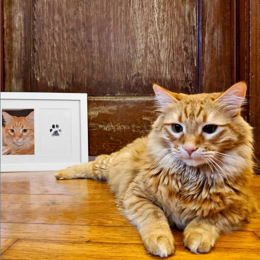 Huella Printing Kit for Pets