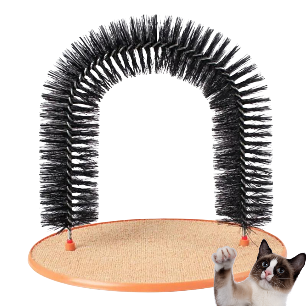 Arc Massager for Cats