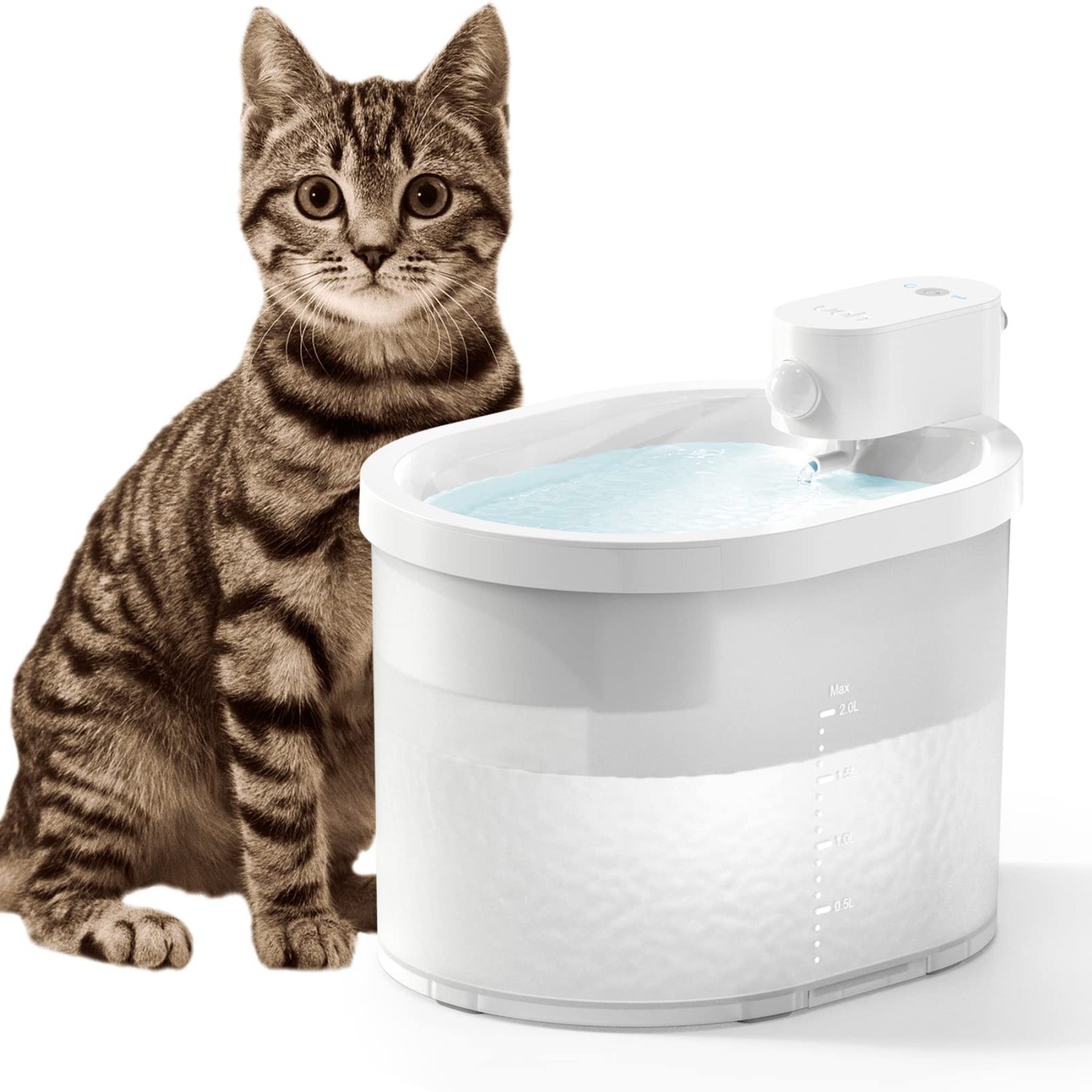 Smart Drinking Fountain with Motion Sensor for Pets