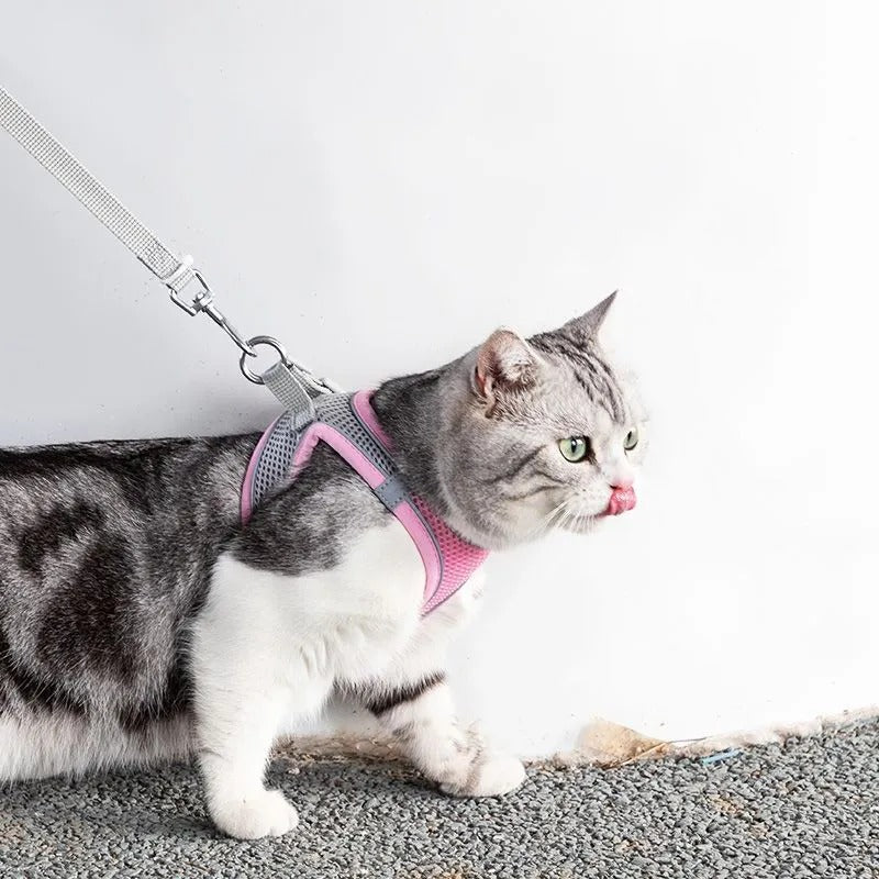 Adjustable Harness with Guide for Pets