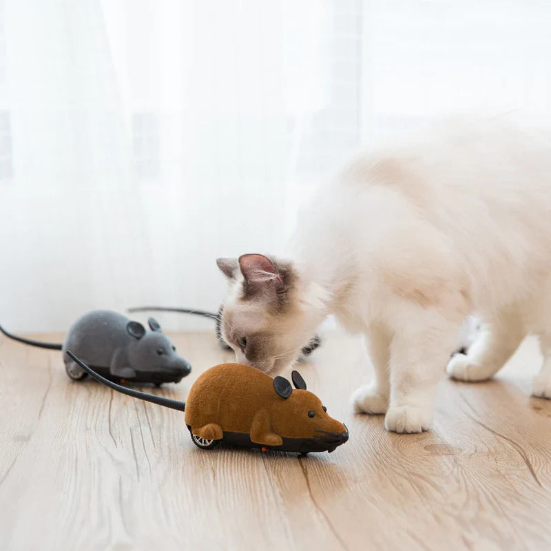 Remote Control Mouse Toy for Cats