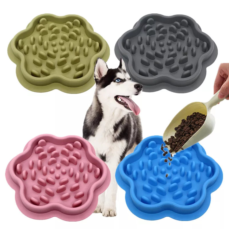 Anti-Racity Feeder for Pets