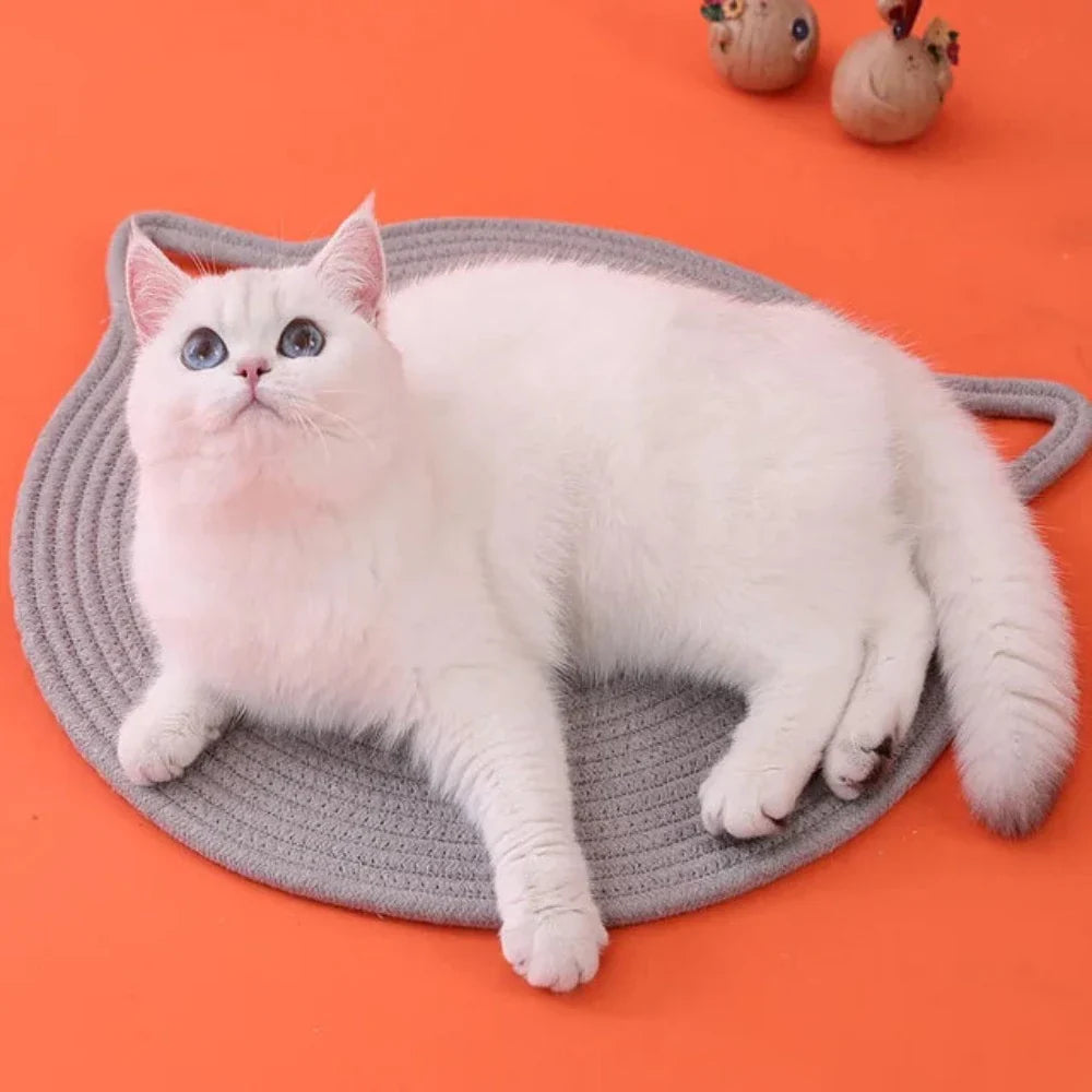 Cat Scratching Mat