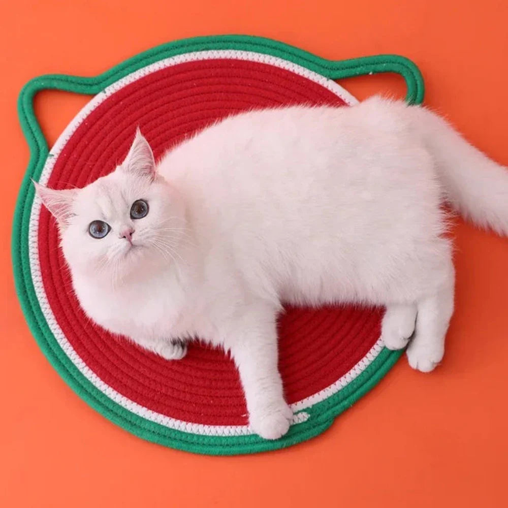 Cat Scratching Mat