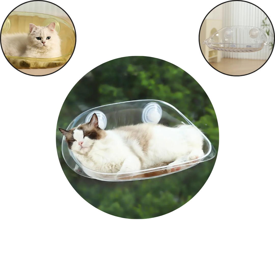 Modern suspended cat bed