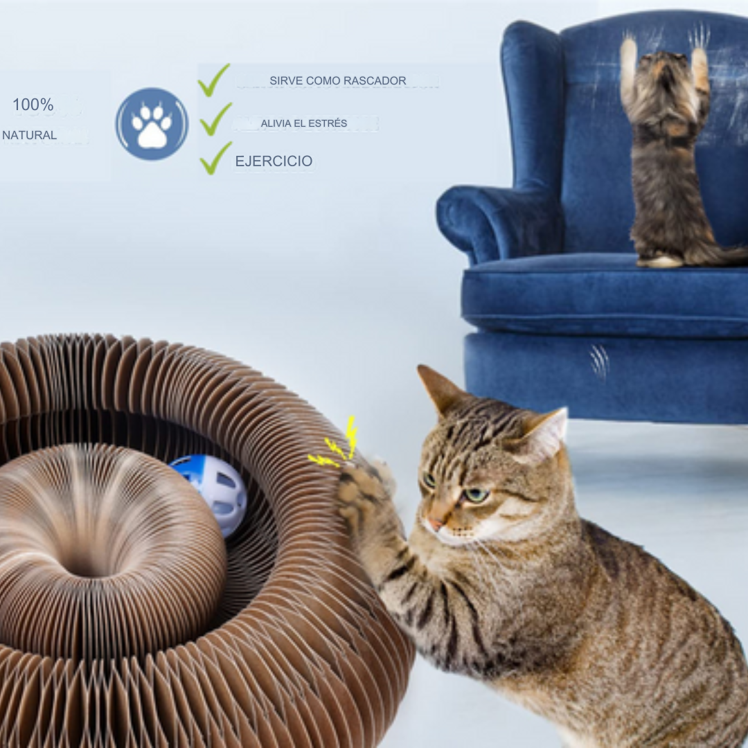 Interactive Toy for Cats - GatoPlay +1 Gift Bag