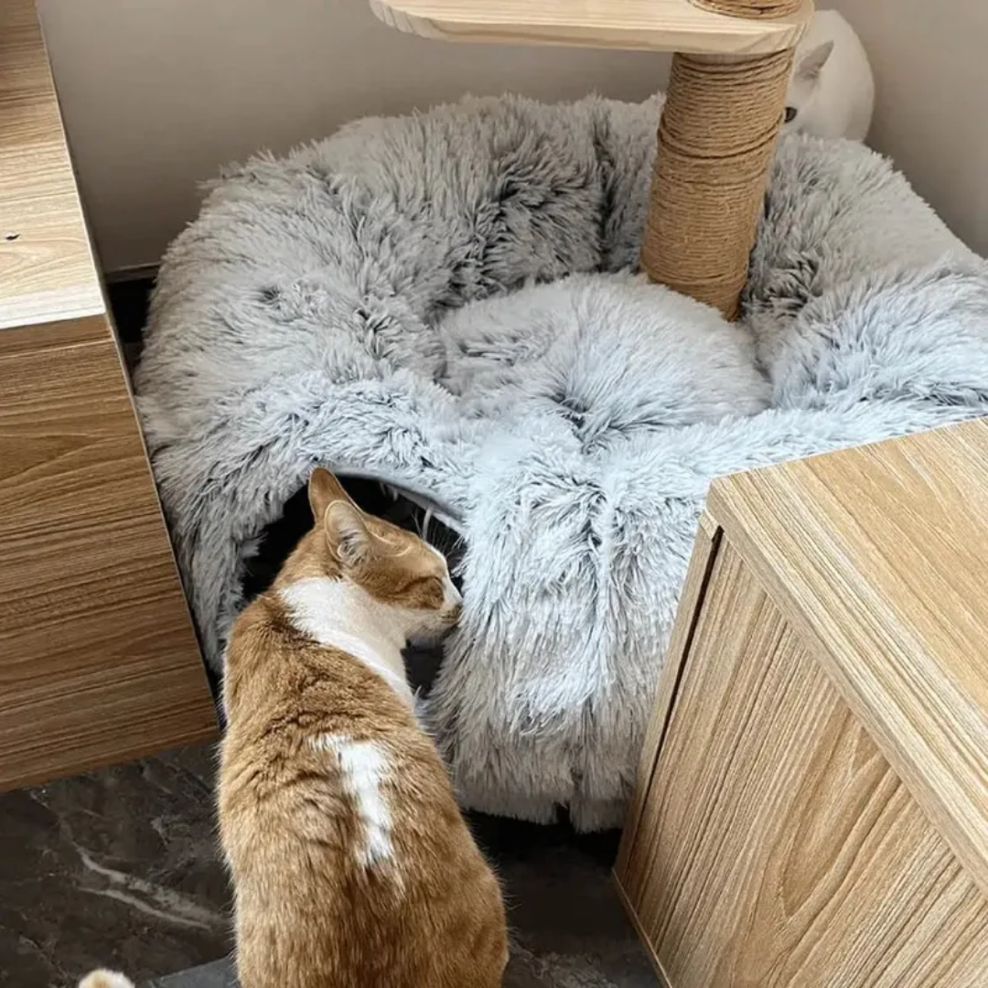 Toquinha Bed with Tunnel for Cats