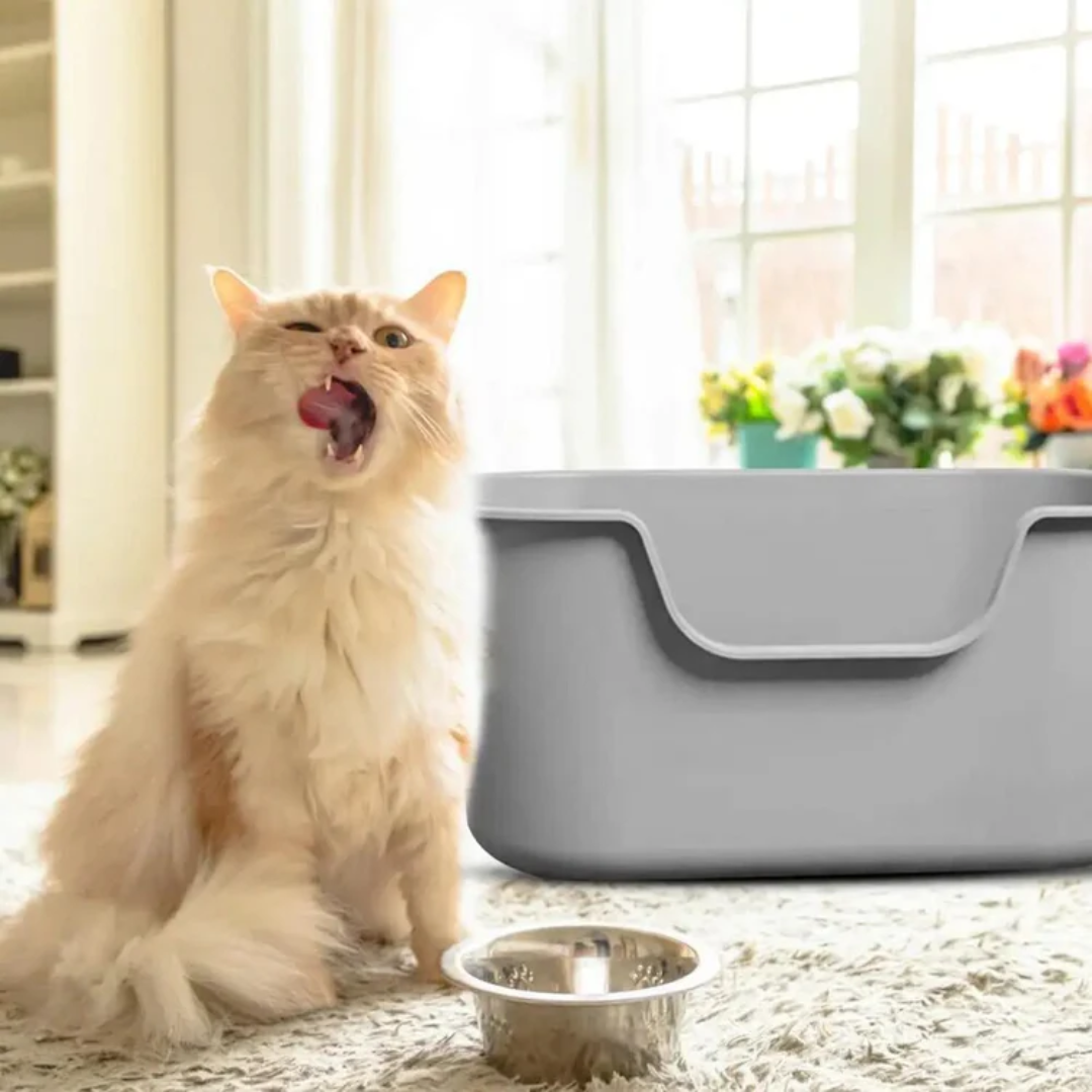 Premium Raised Litter Box for Cats