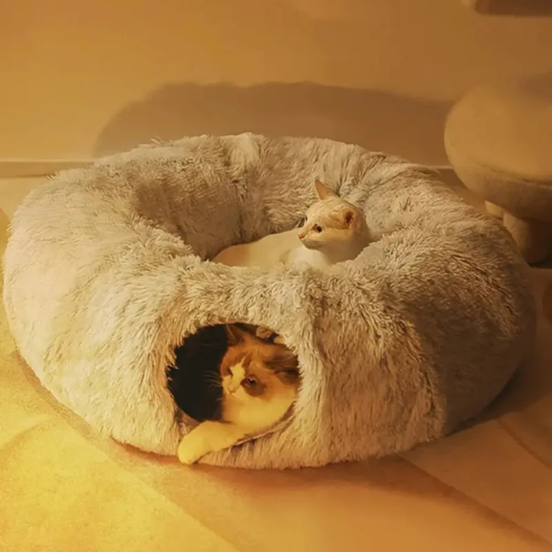 Toquinha Bed with Tunnel for Cats