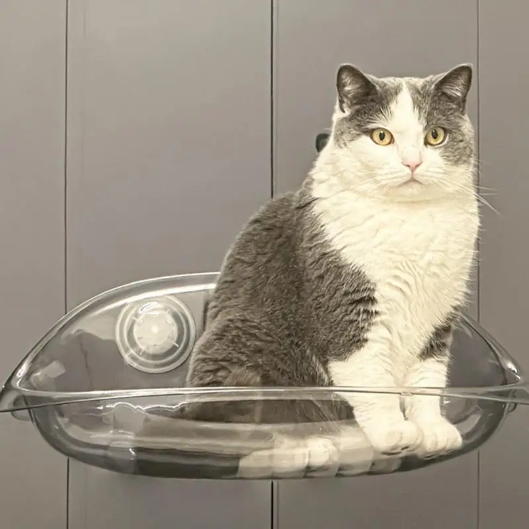 Modern suspended cat bed