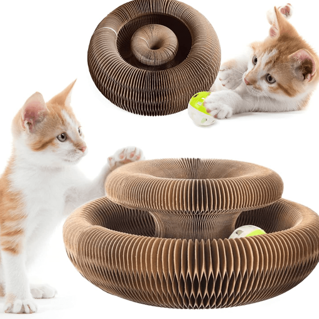 Interactive Toy for Cats - GatoPlay +1 Gift Bag