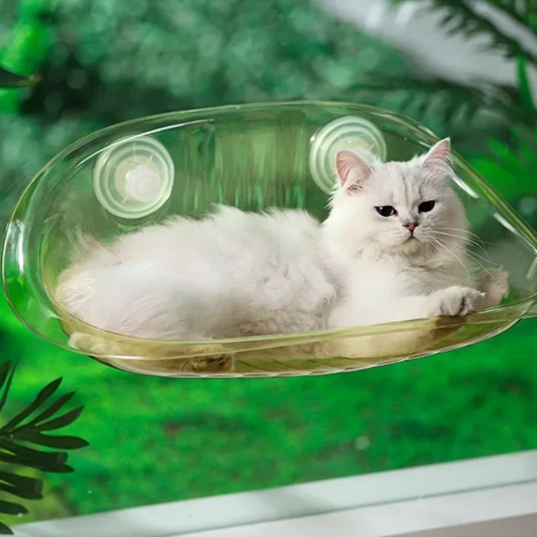 Modern suspended cat bed