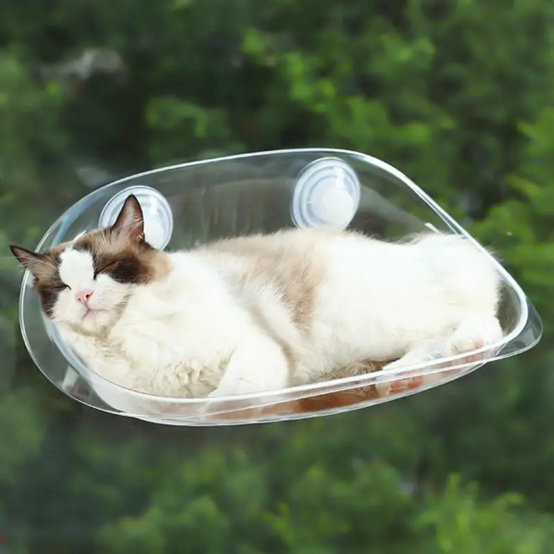 Modern suspended cat bed