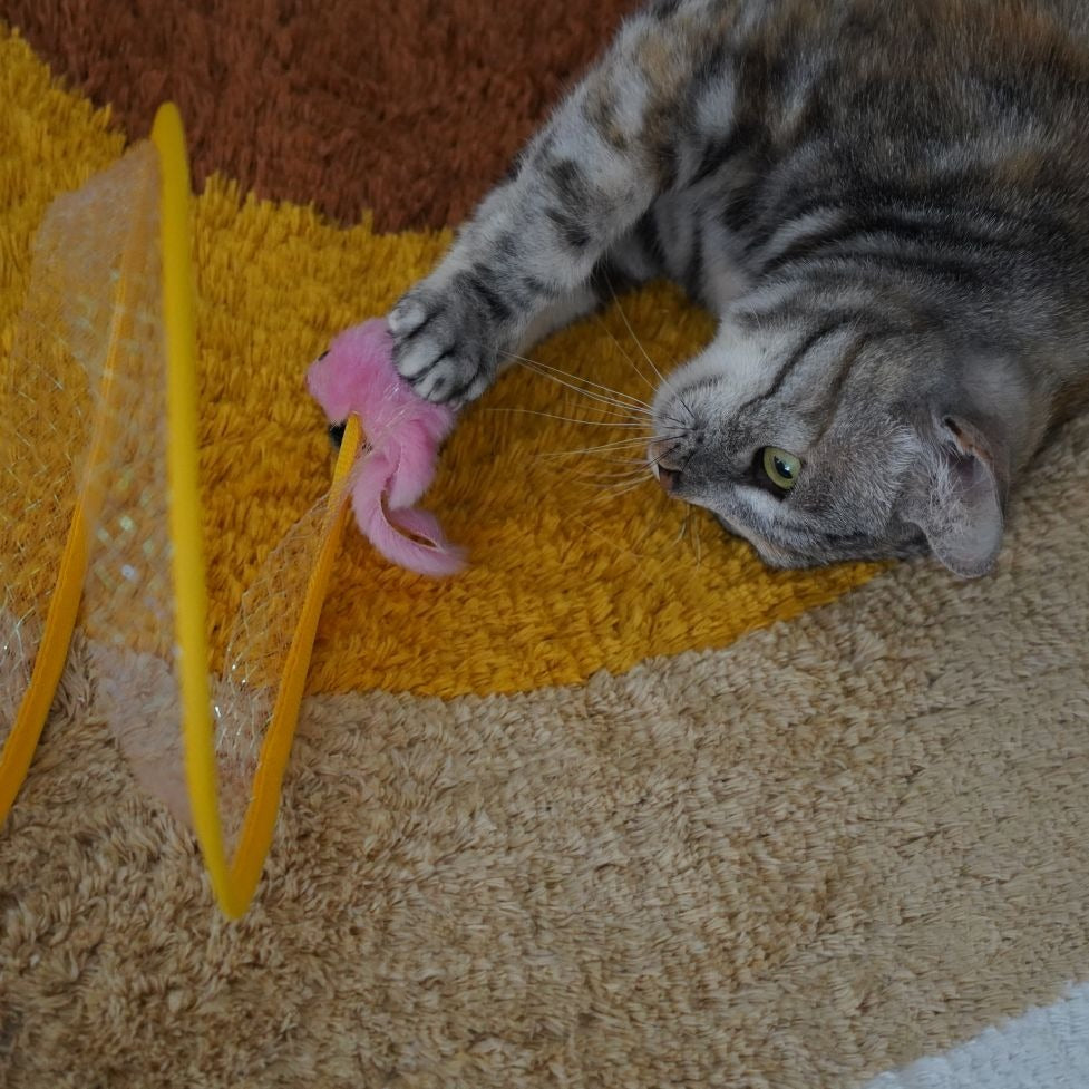 Tunicat - Spiral Worm Toy for Cats