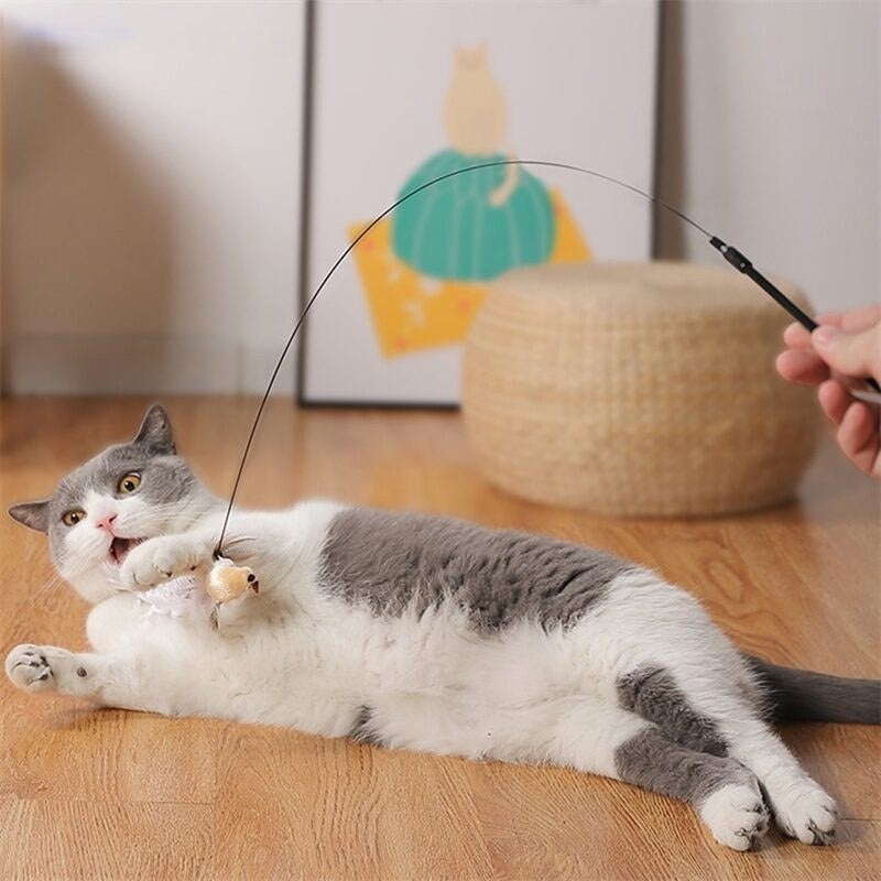 Stick Toy with Suction Cup for Cats