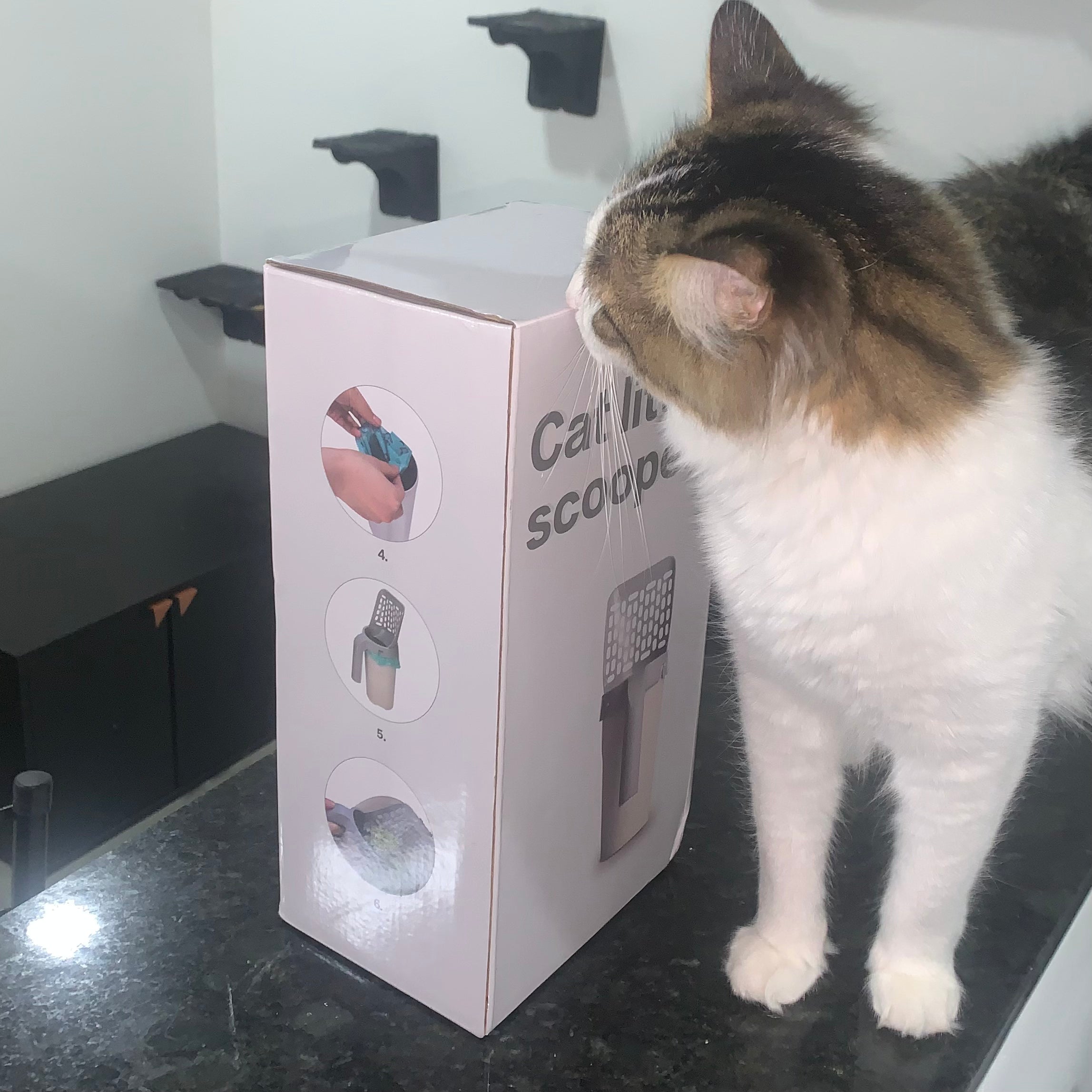 Pala with Dispenser for Cats