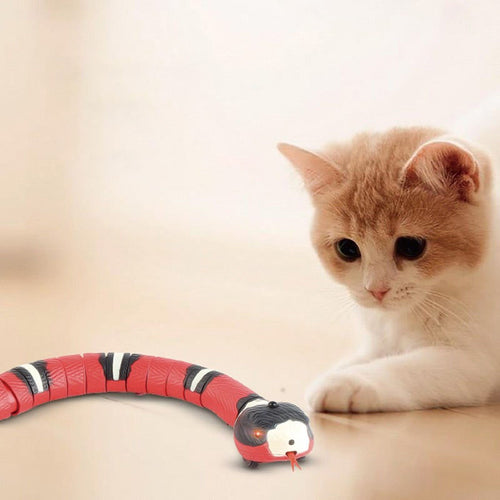 Electric Snake + Bird + Ball Toy Kit for Cats