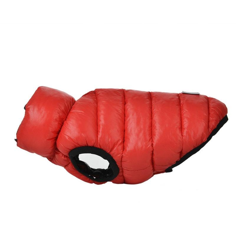 Reversible coat for dogs against the cold - Double layer and waterproof 